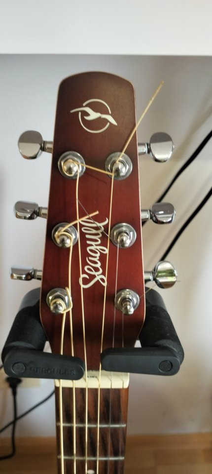 Guitarra Acústica Seagull Entourage