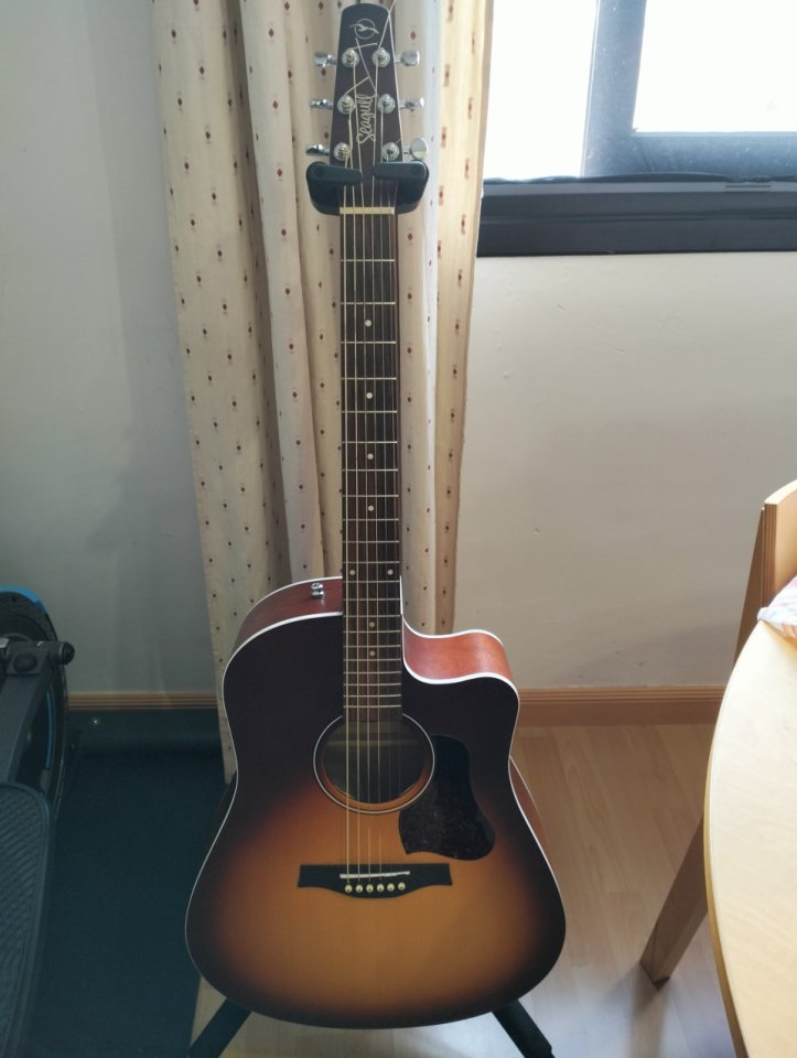 Guitarra Acústica Seagull Entourage