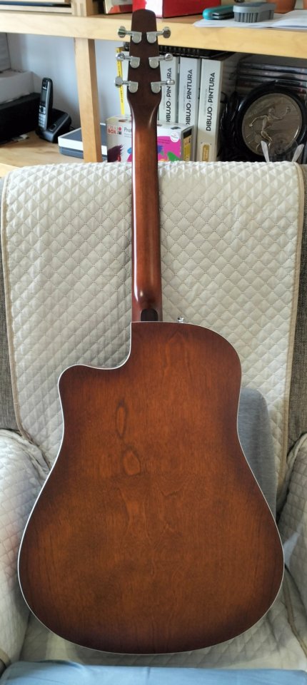 Guitarra Acústica Seagull Entourage