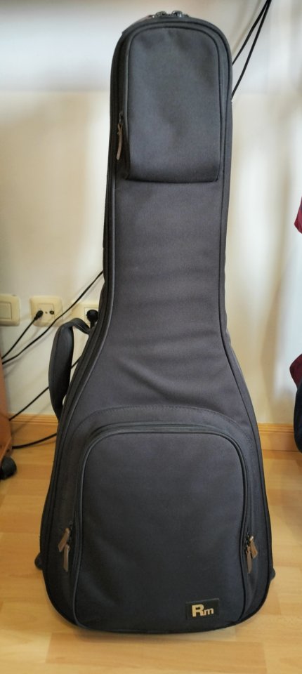 Guitarra Acústica Seagull Entourage