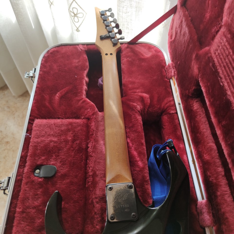 Ibanez Jem Floral 1991+ pastillas originales