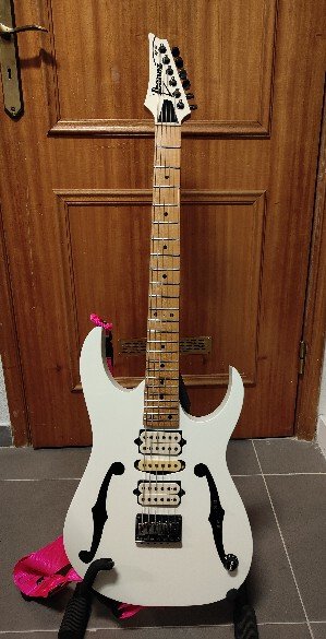 Ibanez PGM301 Paul Gilbert Signature