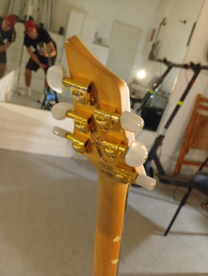 Washburn Dp100 David palau signature mejorada con Dimarzio de segunda mano · Foto 5 de 6 · Sevilla · 595 €
