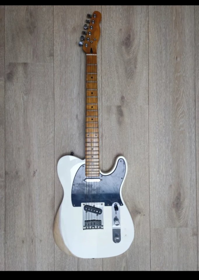 Telecaster partcaster