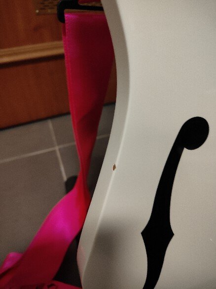 Ibanez PGM301 Paul Gilbert Signature