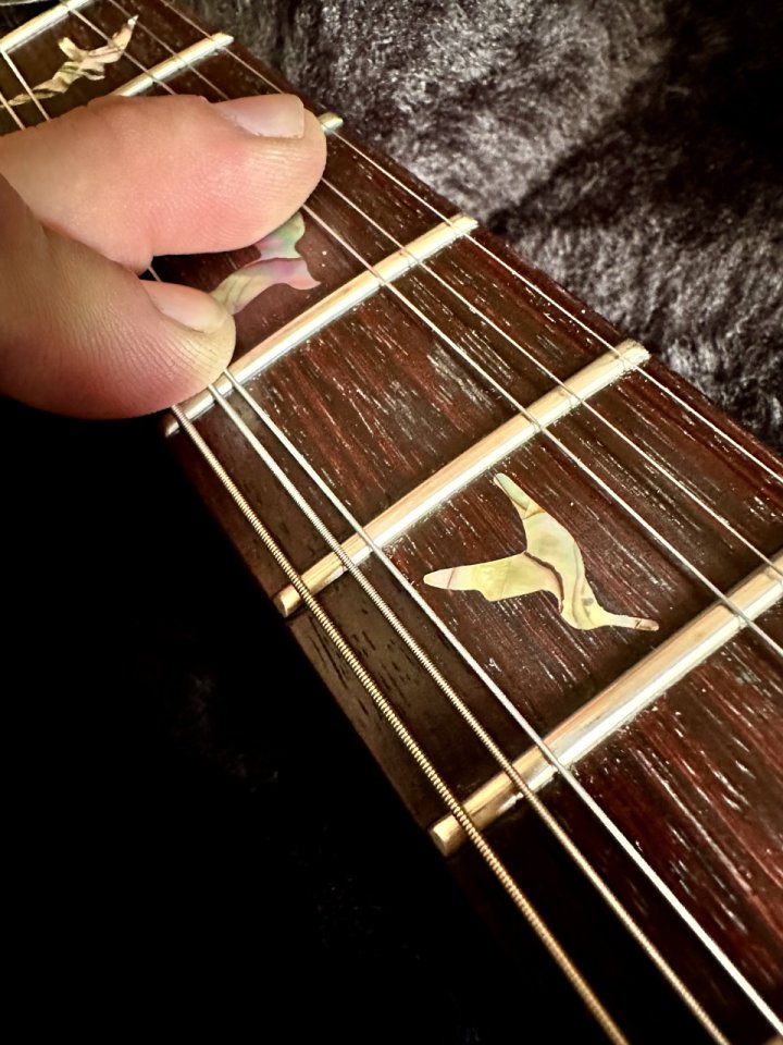 Prs custom top ten 24 del 97