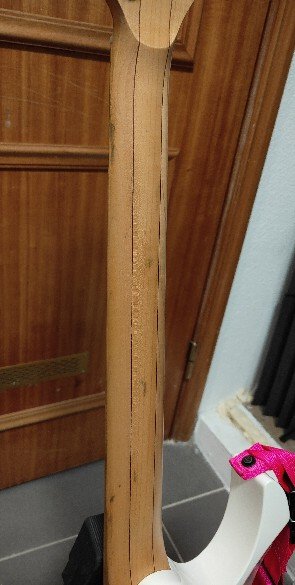 Ibanez PGM301 Paul Gilbert Signature