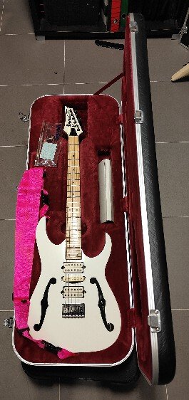 Ibanez PGM301 Paul Gilbert Signature