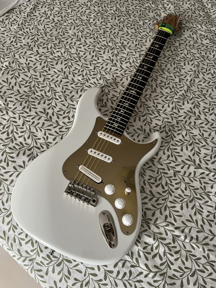 Prs Silver Sky Frost