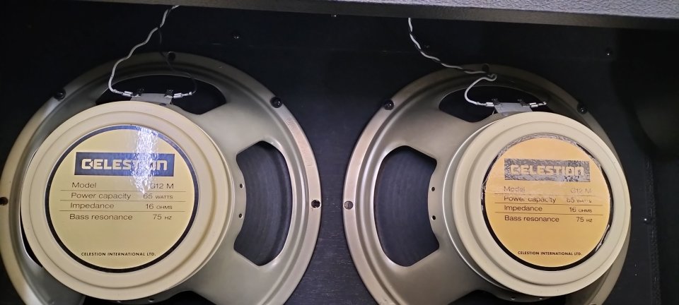 Supersonic 60 + 2*12" creamback de segunda mano · Foto 3 de 5 · Cantabria · 1000 €