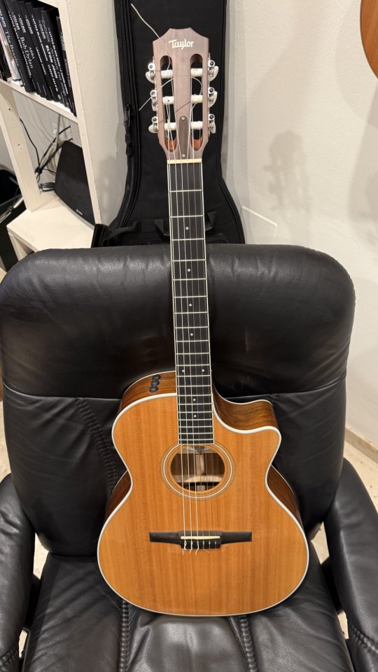 Taylor 414 ce-N