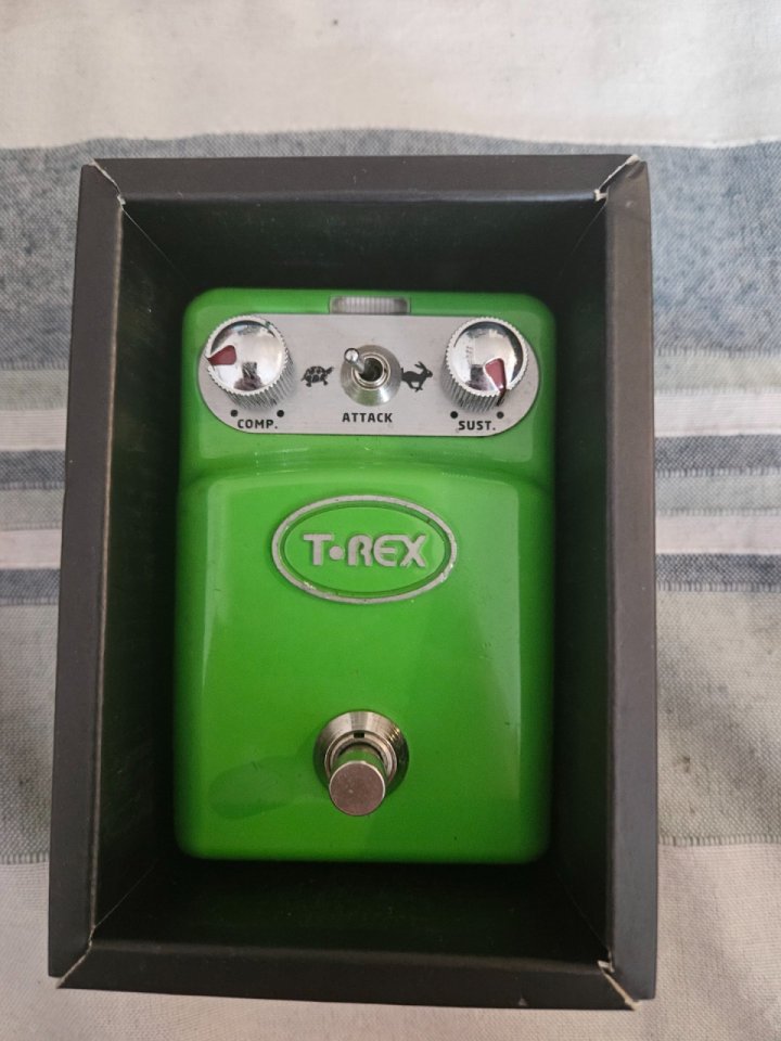 Pedal t-rex tonebug