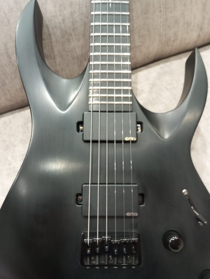 Washburn parallaxe negra con EMGs