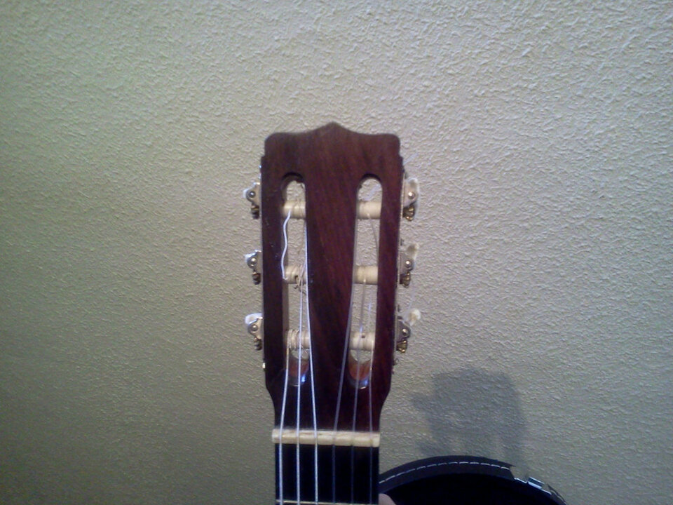 Vendo Ramirez Palosanto sudamericano