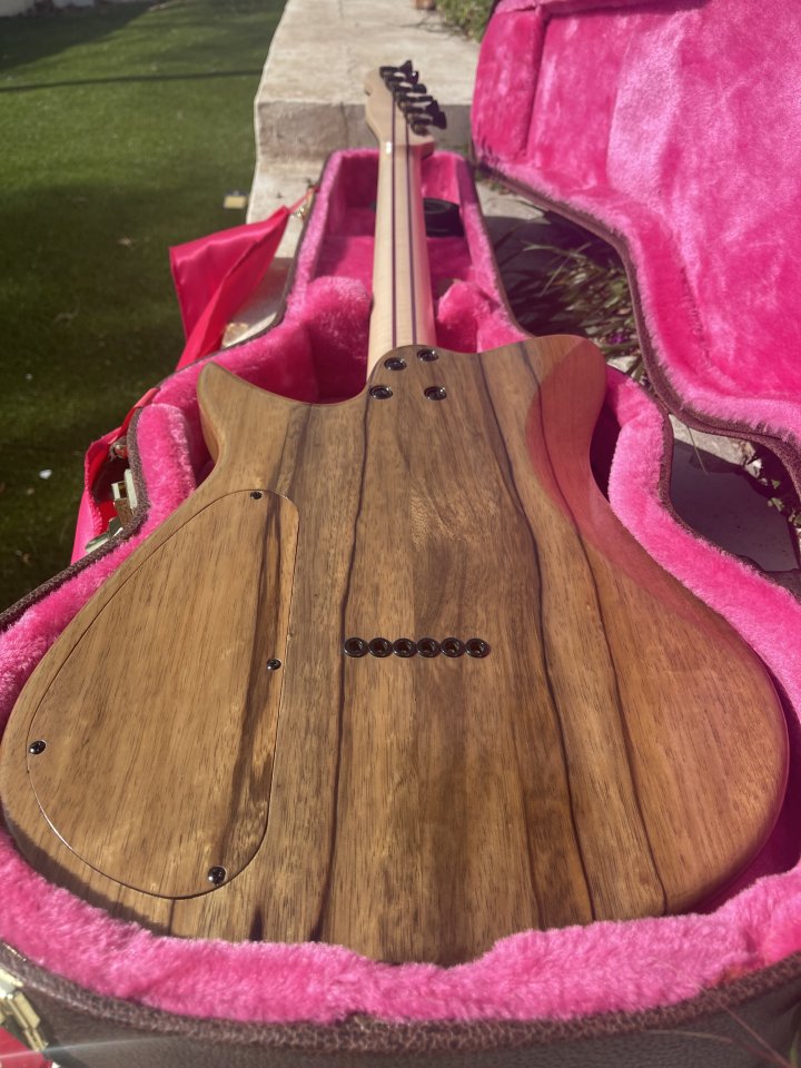 Telecaster modern badak guitars