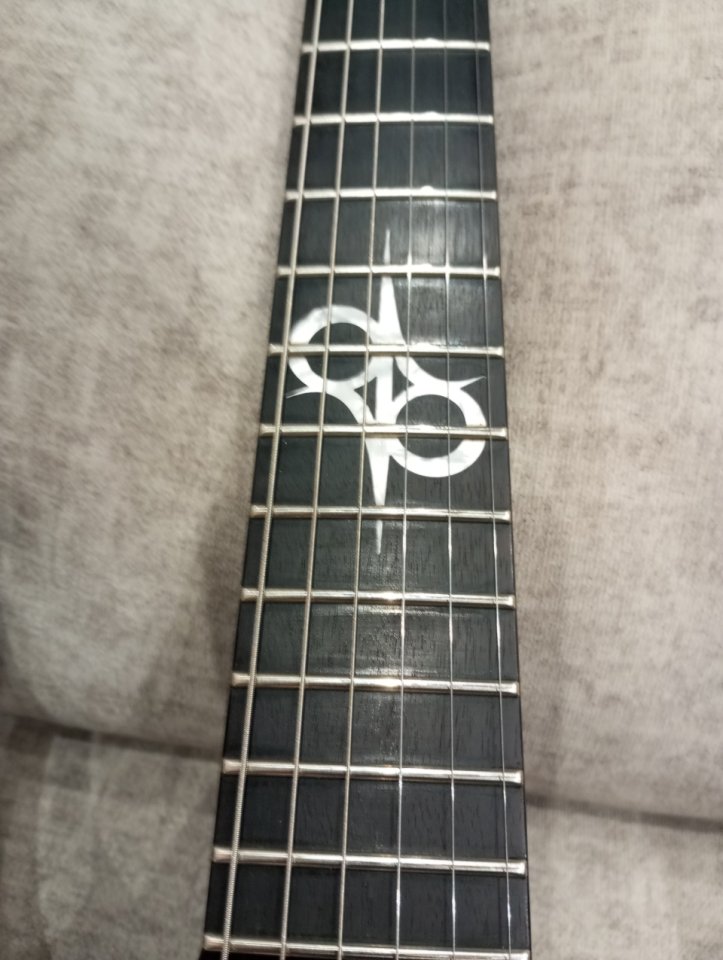 Washburn parallaxe negra con EMGs