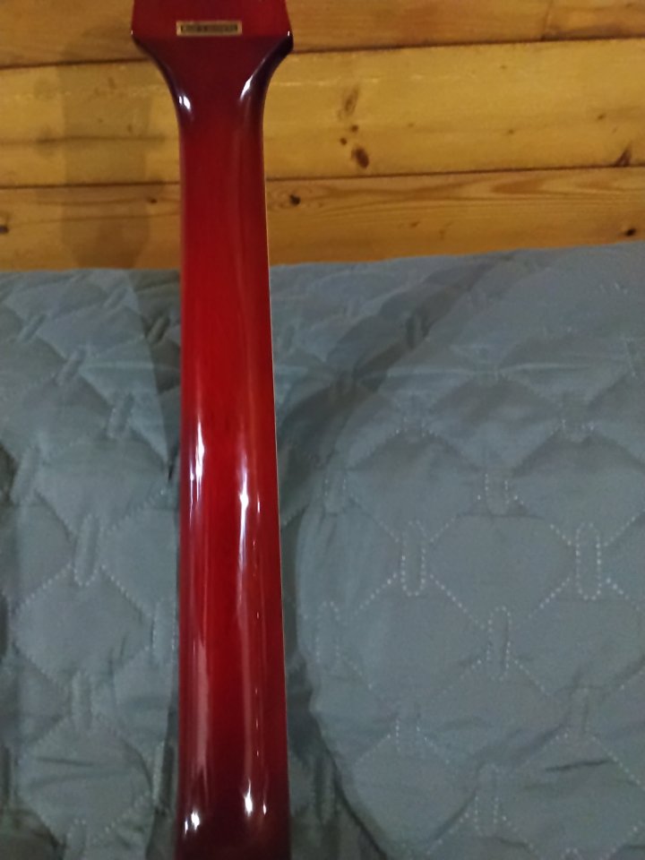 Epiphone les paul standard pro