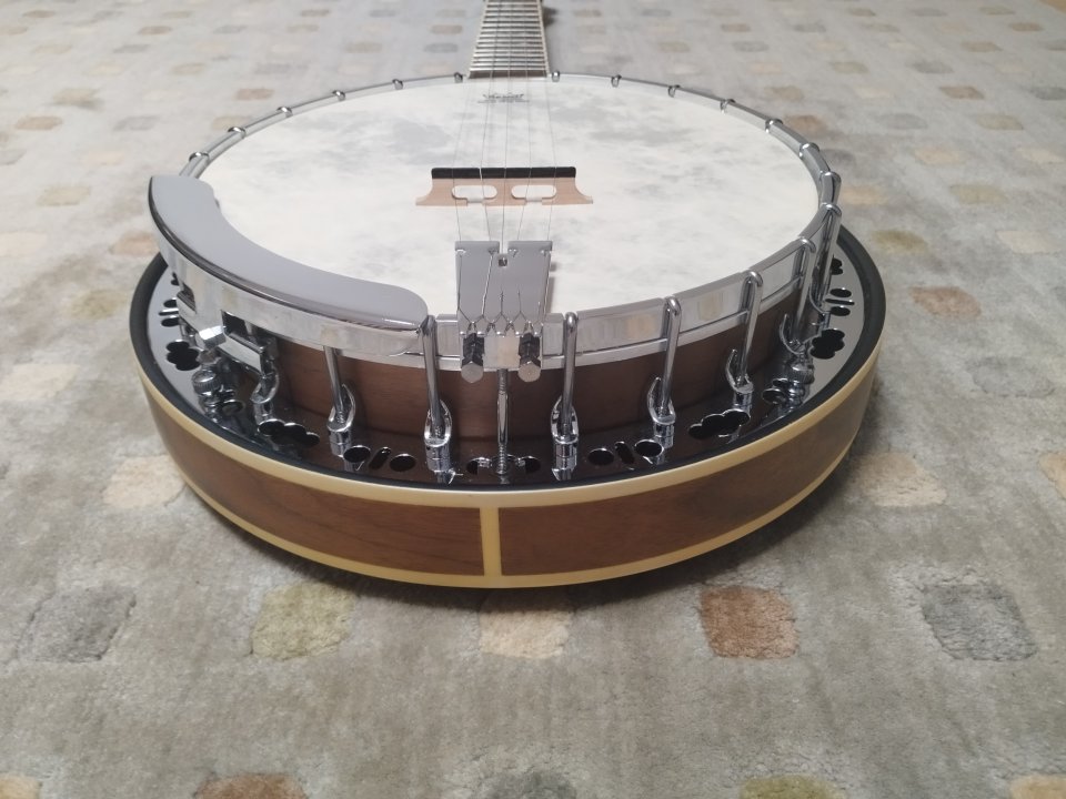 Barnes & Mullins BJ500BW 5-String Banjo