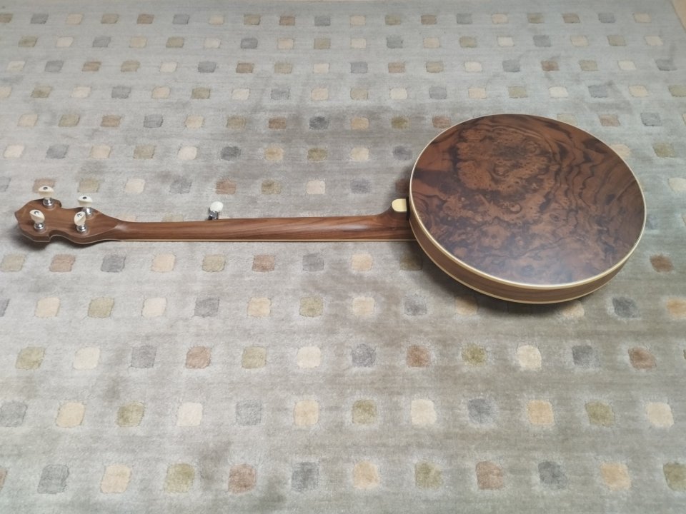 Barnes & Mullins BJ500BW 5-String Banjo