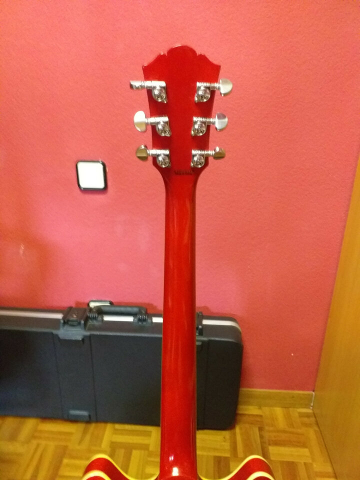 Washburn hb30