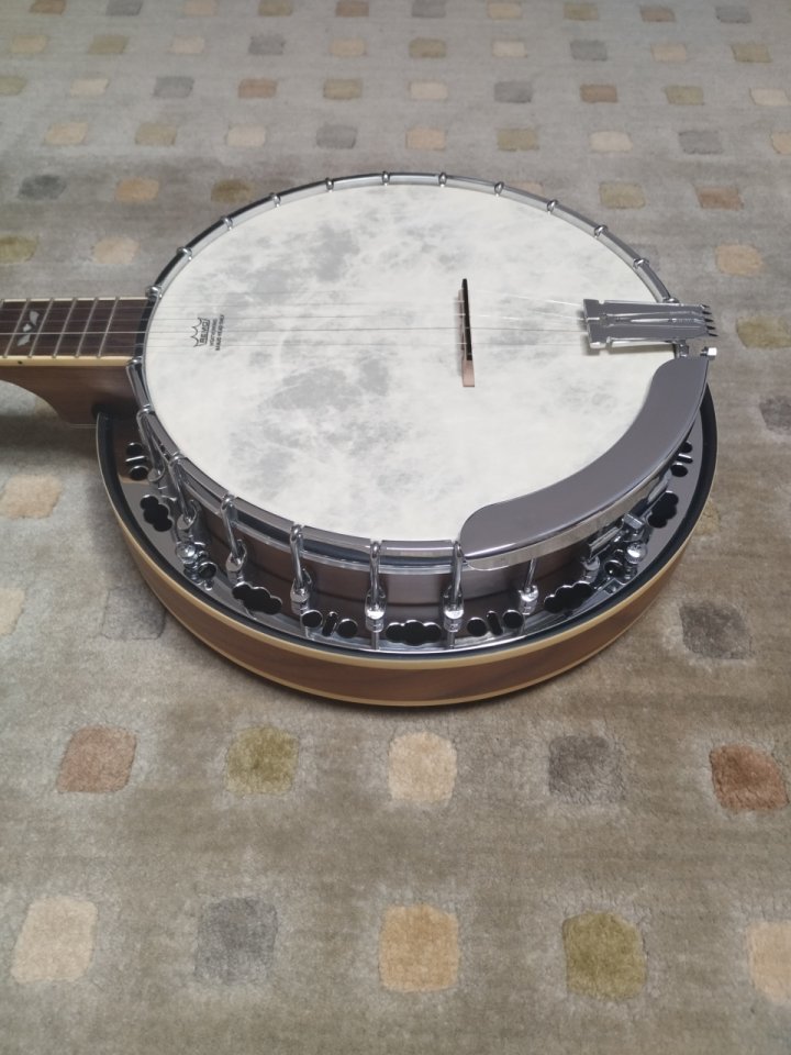 Barnes & Mullins BJ500BW 5-String Banjo