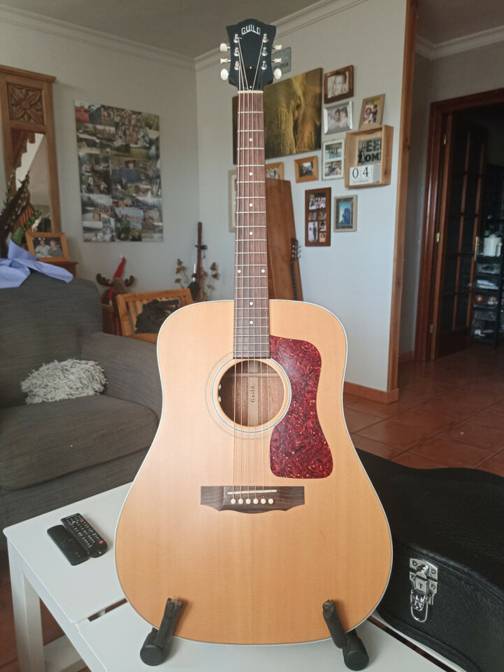 Guild D-40E USA
