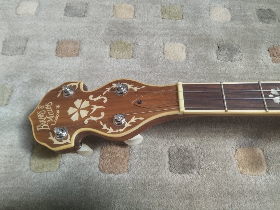 Barnes & Mullins BJ500BW 5-String Banjo