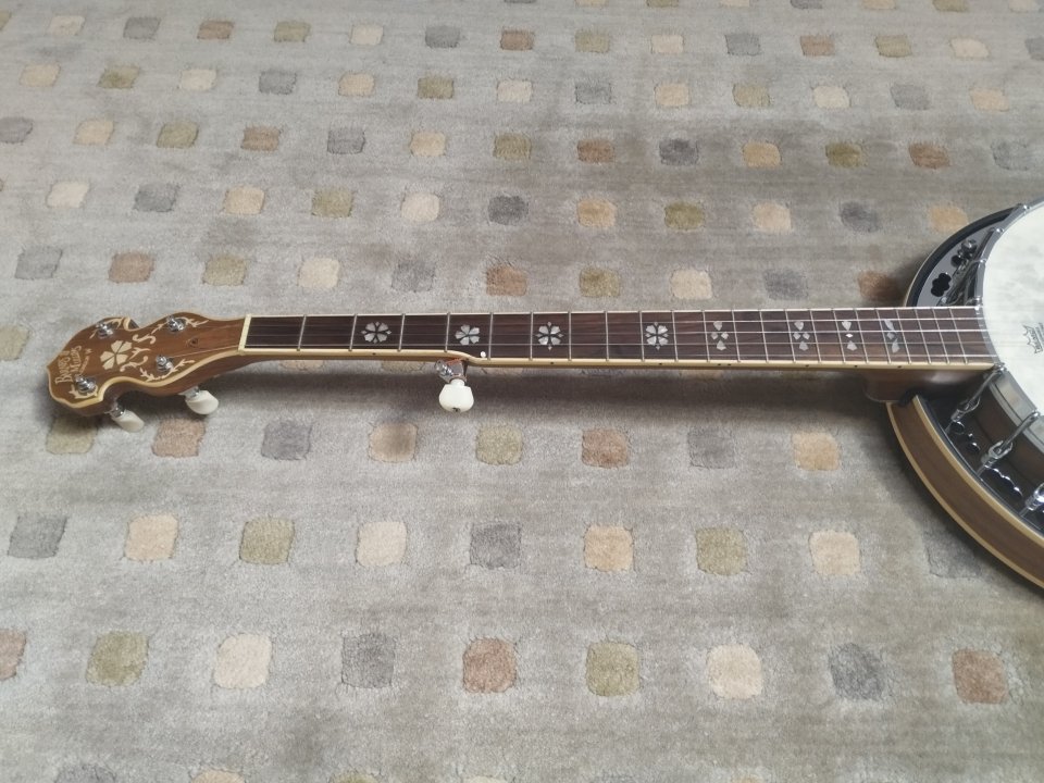 Barnes & Mullins BJ500BW 5-String Banjo