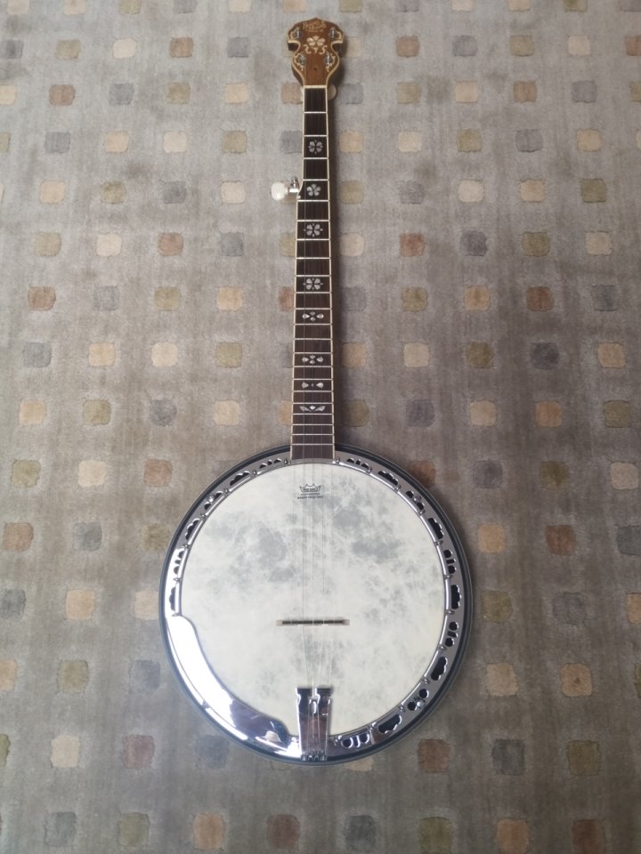 Barnes & Mullins BJ500BW 5-String Banjo
