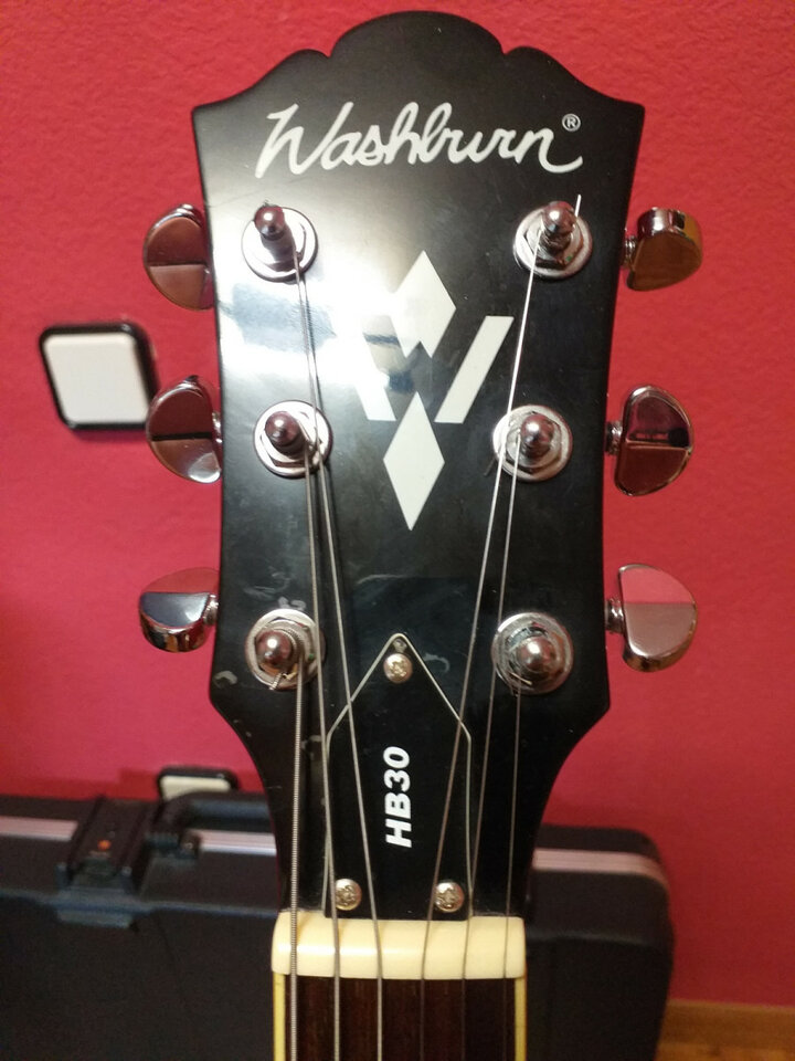 Washburn hb30