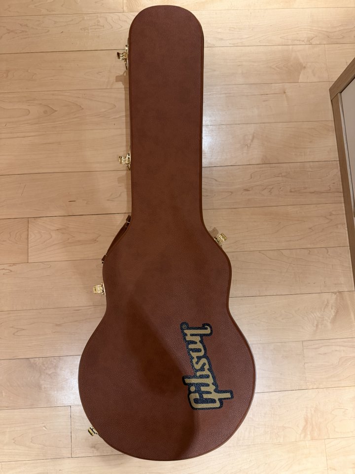 Gibson Les Paul Slash Anaconda Brust