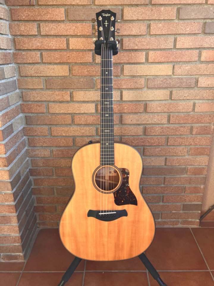 Taylor 517e builders edition