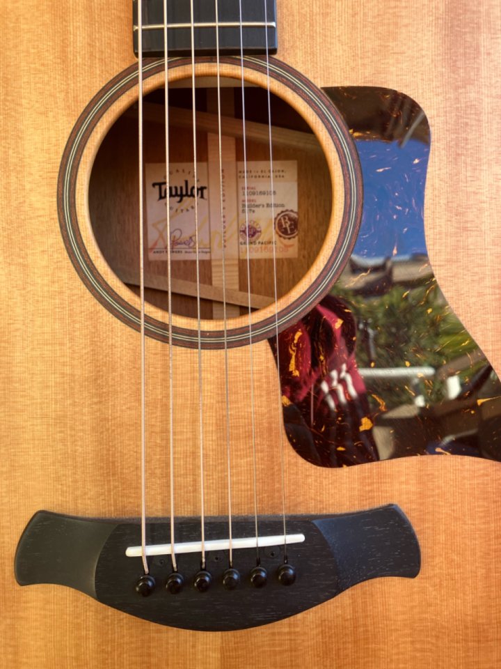 Taylor 517e builders edition