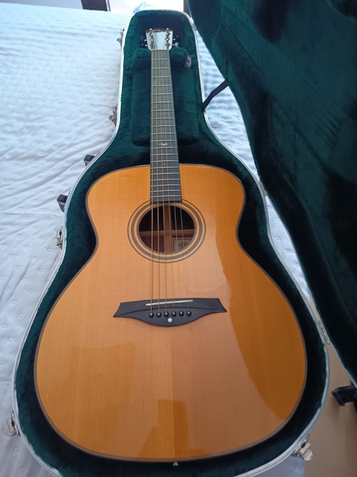 Guitarra Mayson MS5 de segunda mano · Foto 1 de 10 · Zaragoza · 600 €