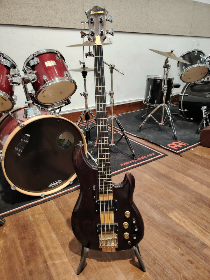 Ibanez Musician MC924 con estuche original