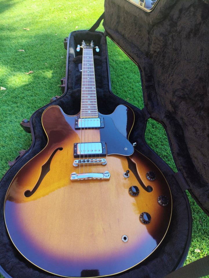 Epiphone ES 335 de segunda mano · Foto 1 de 10 · Alicante · 750 €