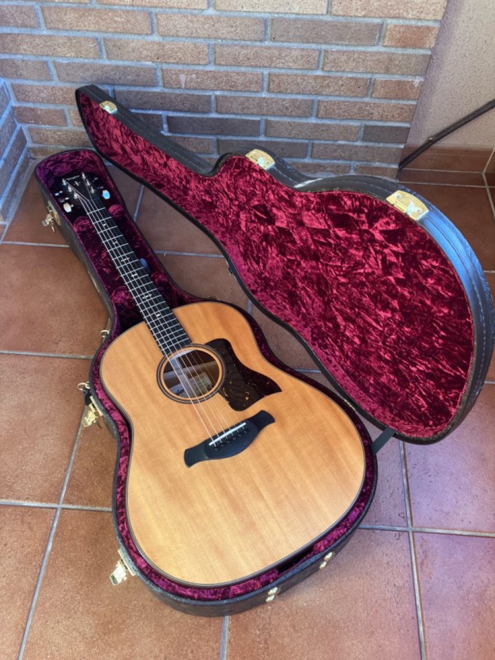 Taylor 517e builders edition