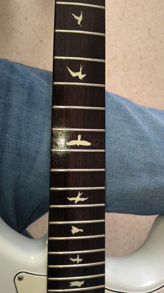 PRS Silver Sky Frost de segunda mano · Foto 3 de 4 · Cádiz · 2000 €