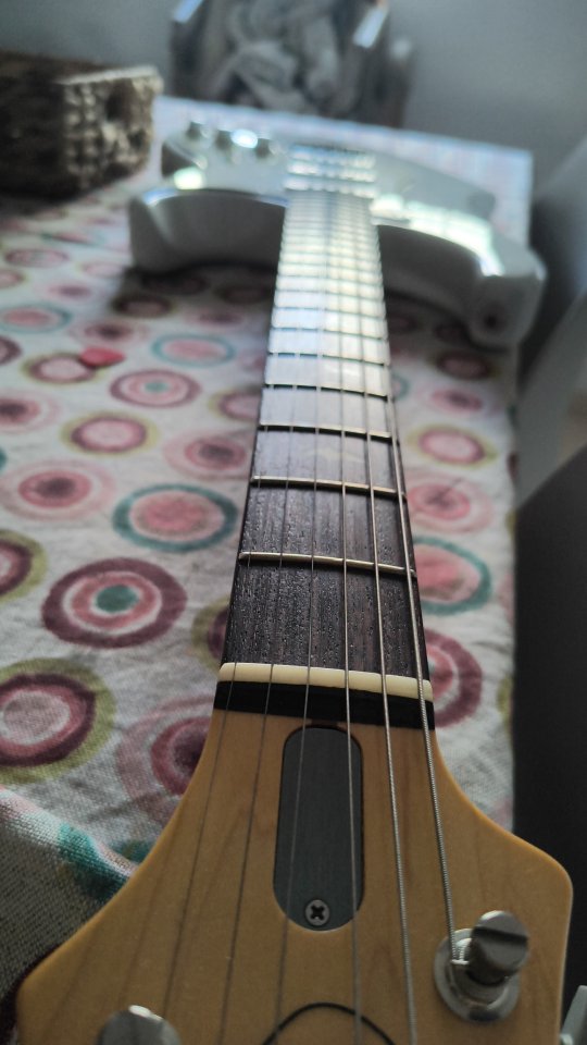 PRS Silver Sky Frost de segunda mano · Foto 4 de 4 · Cádiz · 2000 €