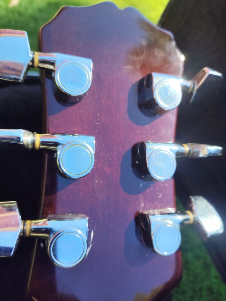 Epiphone ES 335 de segunda mano · Foto 10 de 10 · Alicante · 750 €