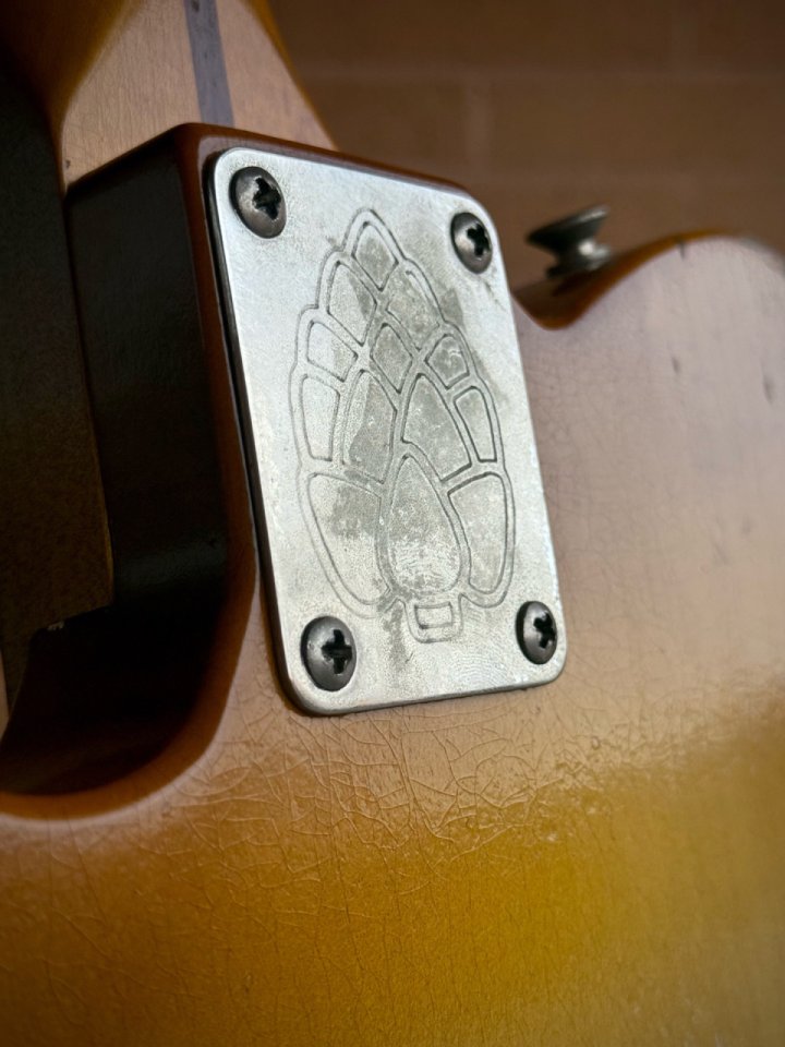 VegaRelics Telecaster Nicotine Butterscotch Old Sweat Edition con Ron Ellis Pickups