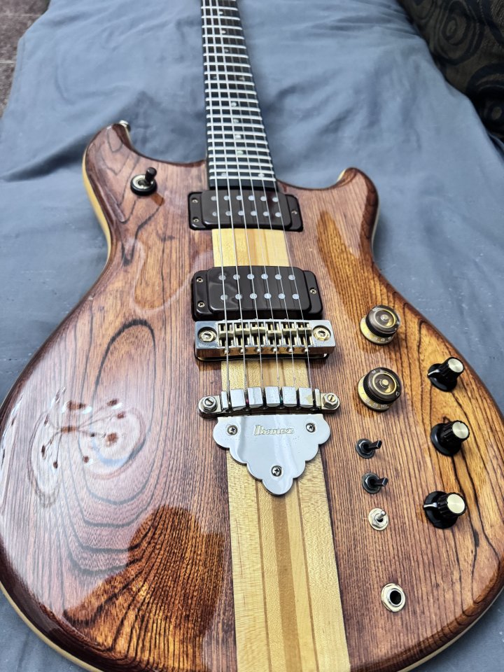 Ibanez Musician MC 500 - Natural