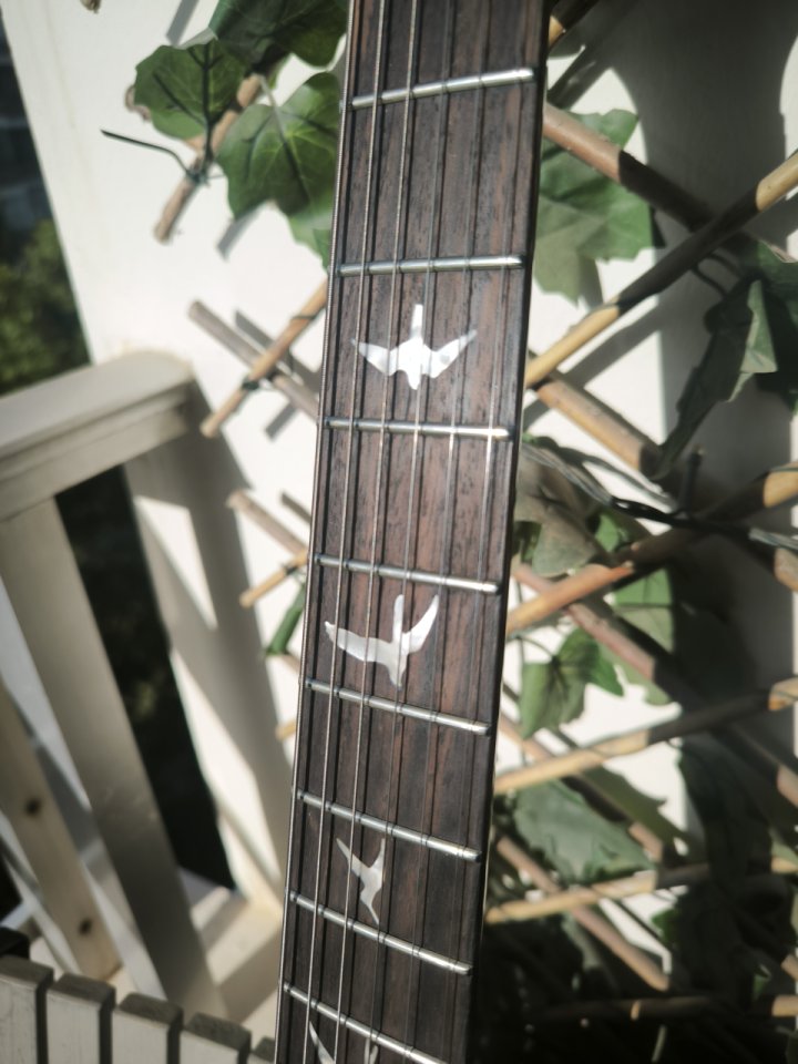 REBAJA PRS SE Custom 24 Black Gold Burst ¡ENVÍO INCLUIDO! (Cambio) de segunda mano · Foto 7 de 8 · Murcia · 580 €