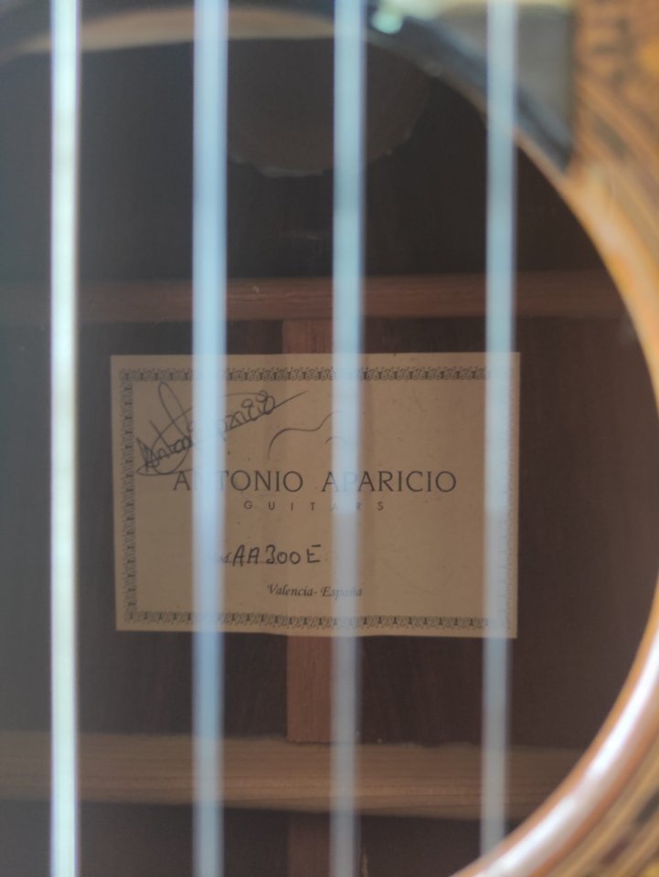 Antonio Aparicio AA300-E + Fishman Prefix Pro Blend | Española electrificada de nivel