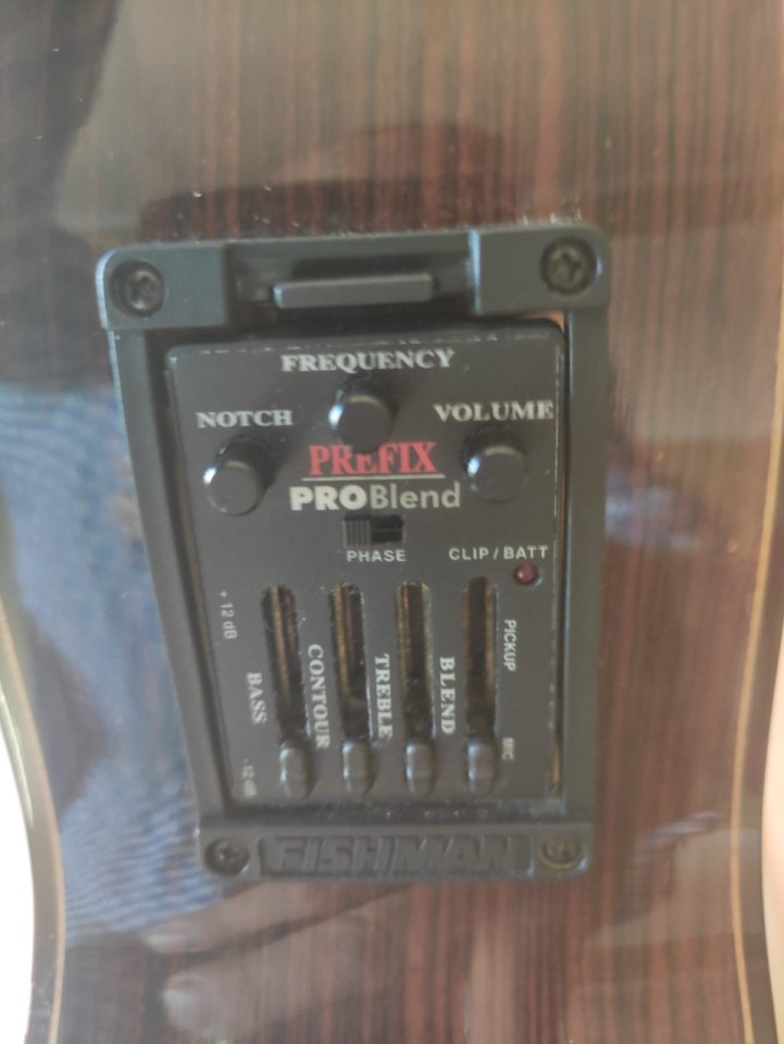 Antonio Aparicio AA300-E + Fishman Prefix Pro Blend | Española electrificada de nivel