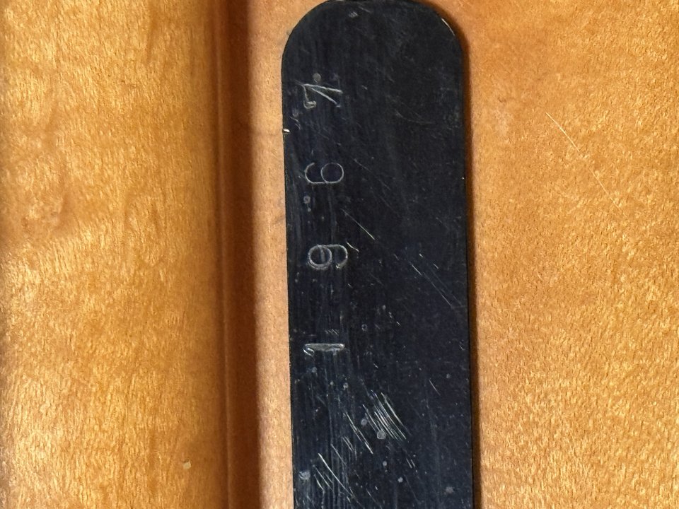 Pedal Steel Sho-Bud de 1967