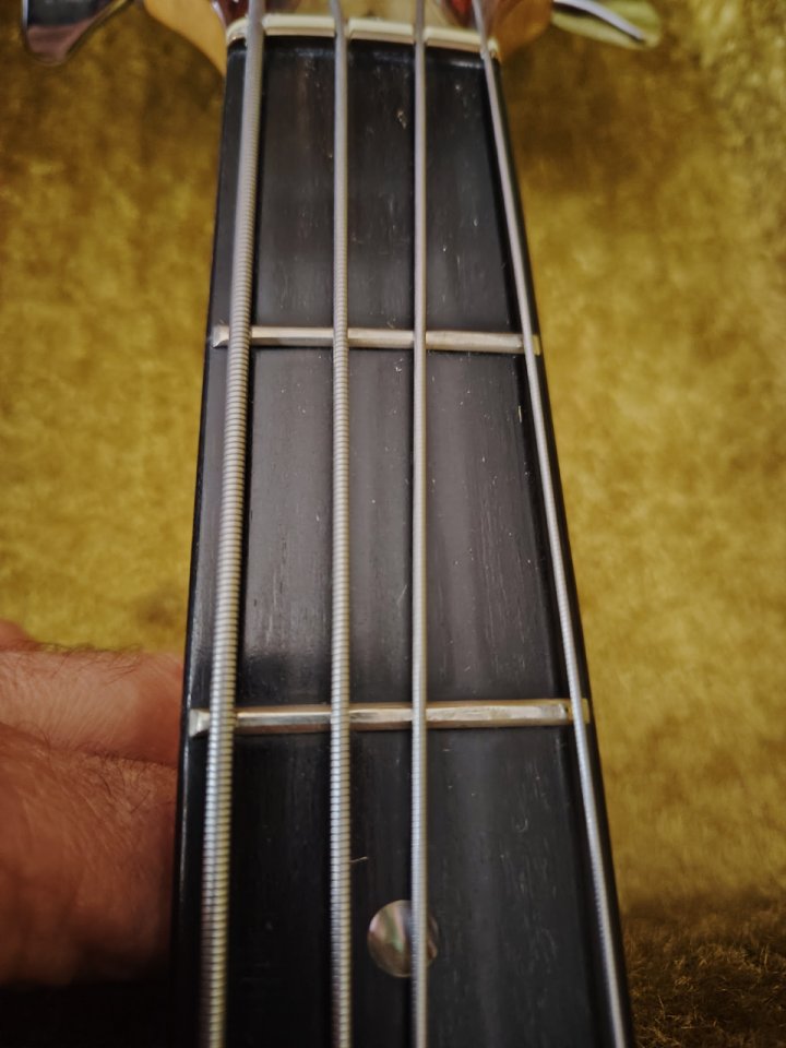 Ibanez Musician MC900 1979 Sting