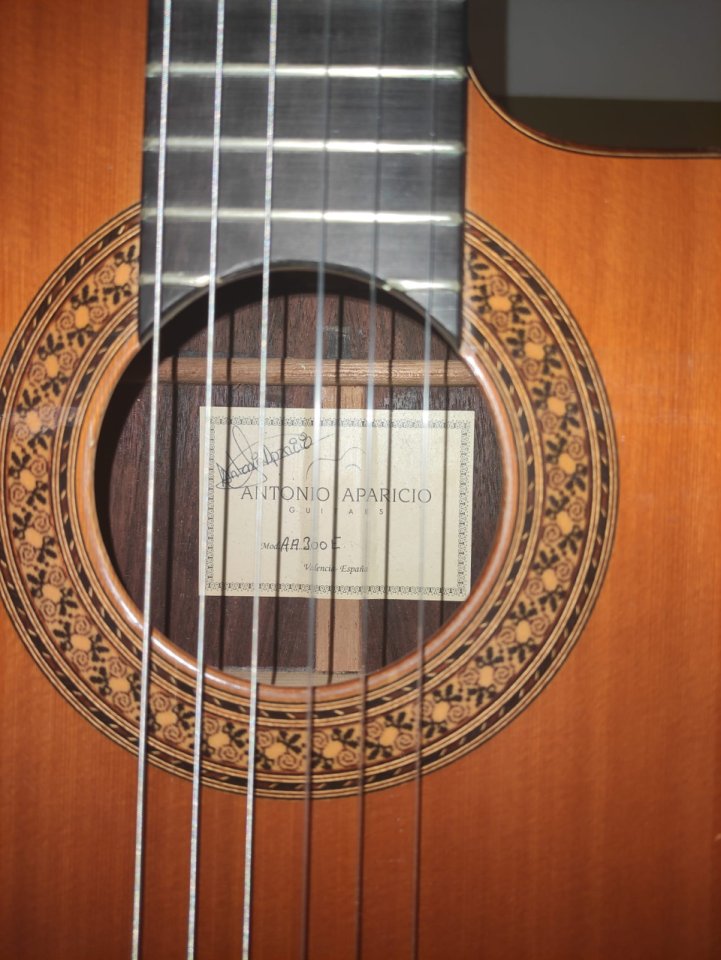 Antonio Aparicio AA300-E + Fishman Prefix Pro Blend | Española electrificada de nivel