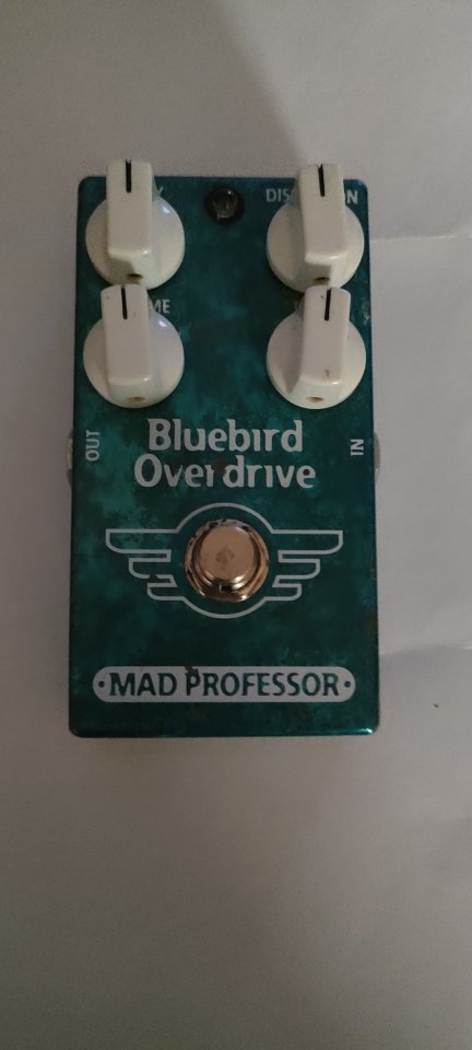Mad Professor Bluebird Delay/Overdrive de segunda mano · Foto 1 de 6 · Bizkaia · 120 €