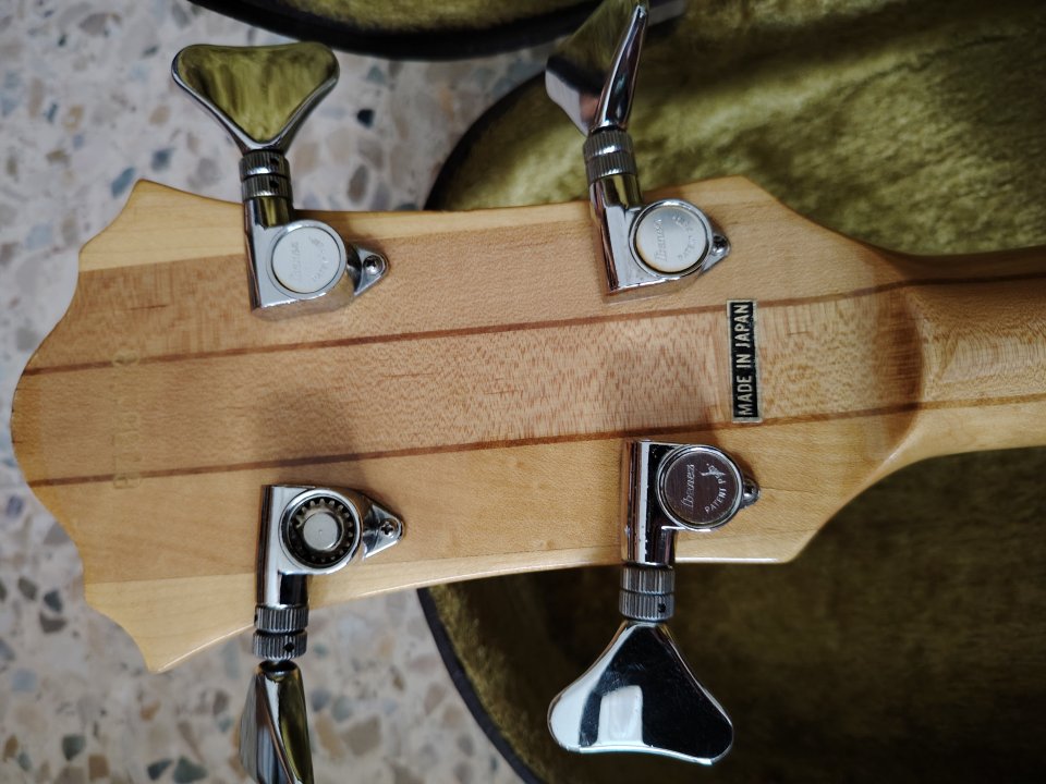 Ibanez Musician MC900 1979 Sting